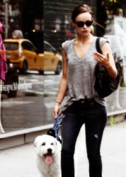 Olivia Wilde Fotoğrafı