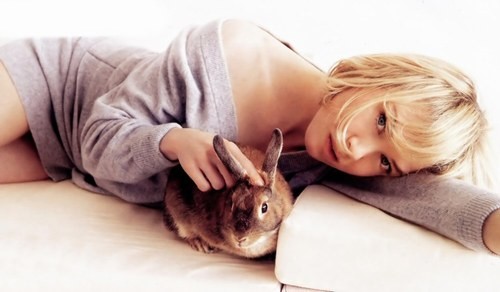 Renée Zellweger Fotoğrafı