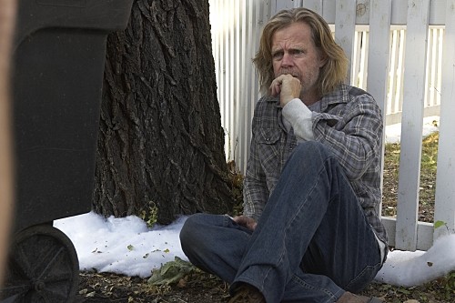 William H. Macy Fotoğrafı