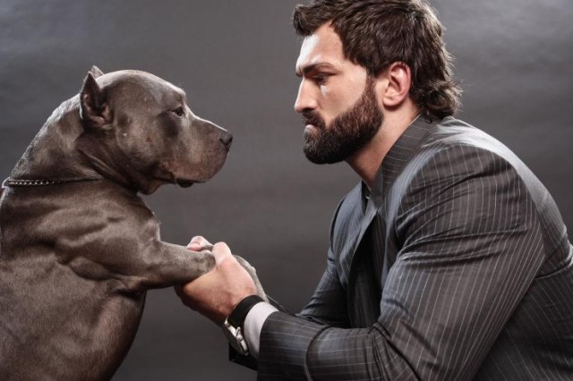 Andrei Arlovski Fotoğrafı