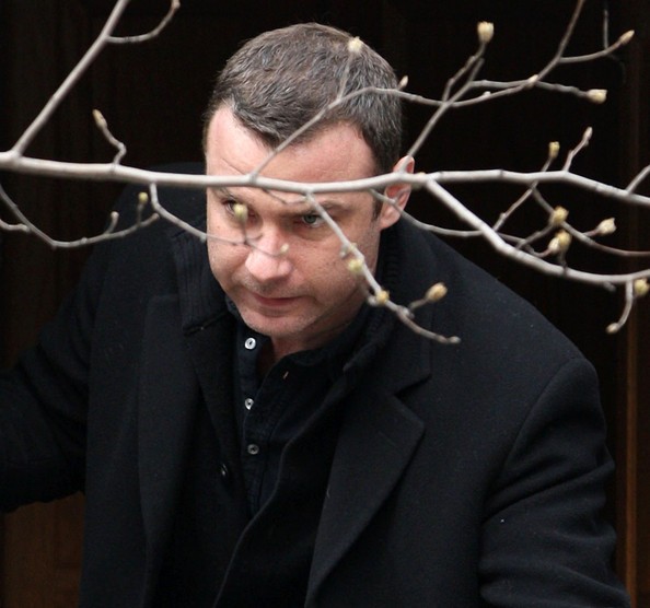 Liev Schreiber fotoğrafı