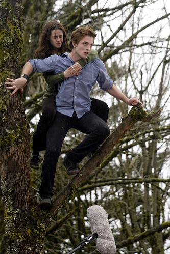 Kristen Stewart Fotoğrafı