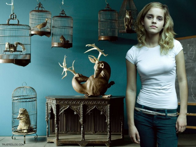 Emma Watson Fotoğrafı