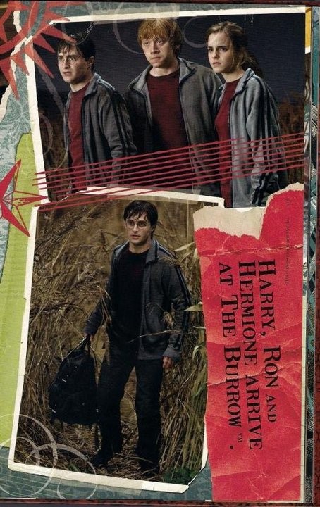 Rupert Grint Fotoğrafı