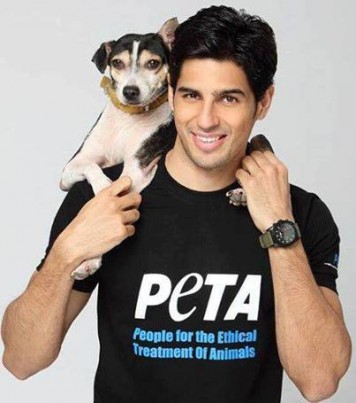 Sidharth Malhotra Fotoğrafı