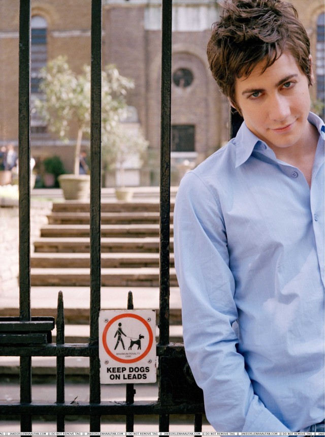 Jake Gyllenhaal Fotoğrafı