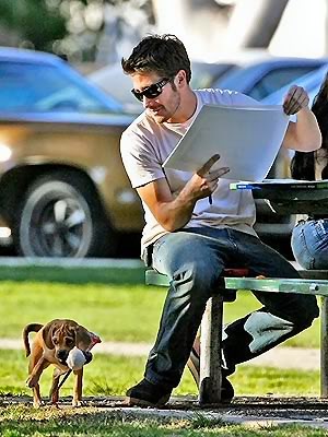 Jake Gyllenhaal Fotoğrafı