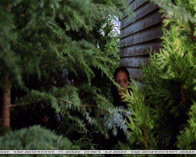 Jessica Alba Fotoğrafı