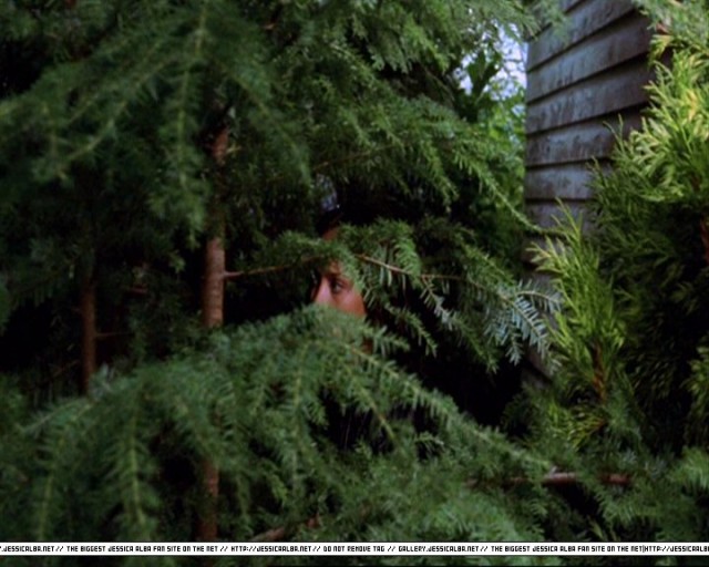 Jessica Alba Fotoğrafı