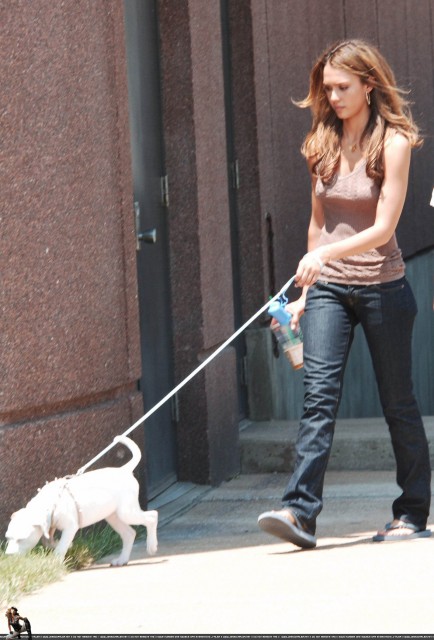 Jessica Alba Fotoğrafı