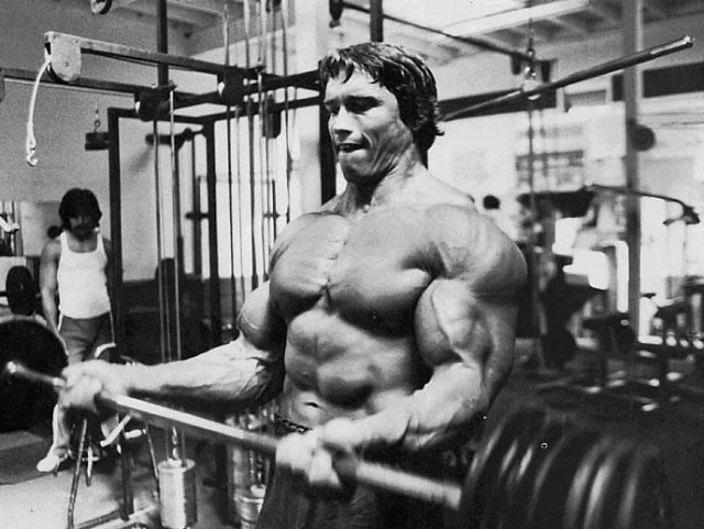 Arnold Schwarzenegger Fotoğrafı