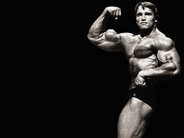 Arnold Schwarzenegger Fotoğrafı