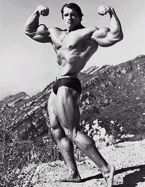 Arnold Schwarzenegger Fotoğrafı