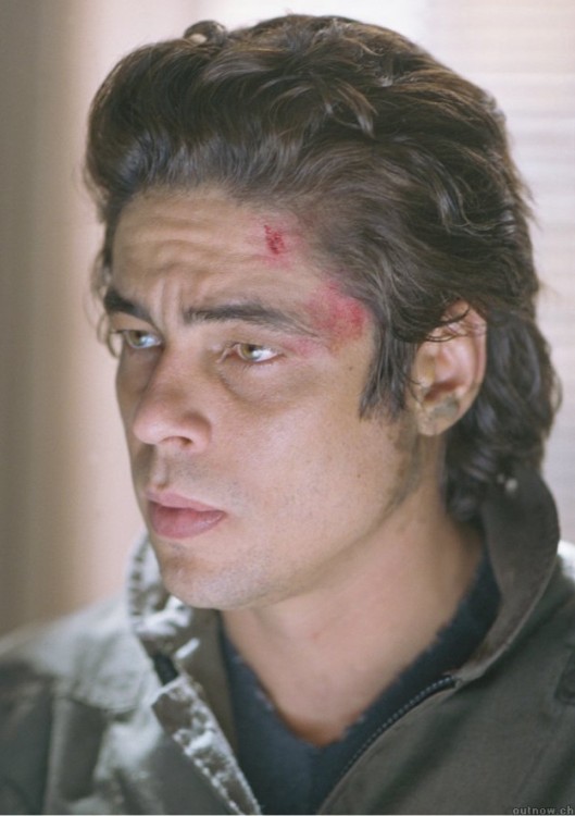 Benicio Del Toro Fotoğrafı