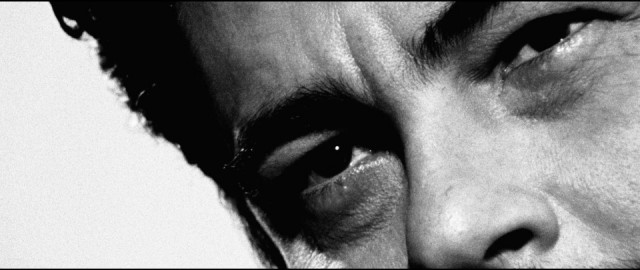 Benicio Del Toro Fotoğrafı