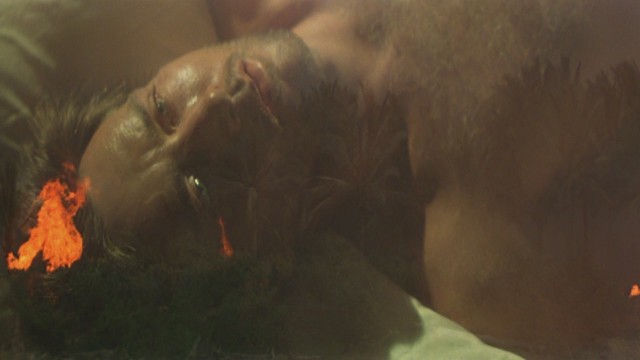 Martin Sheen fotoğrafı