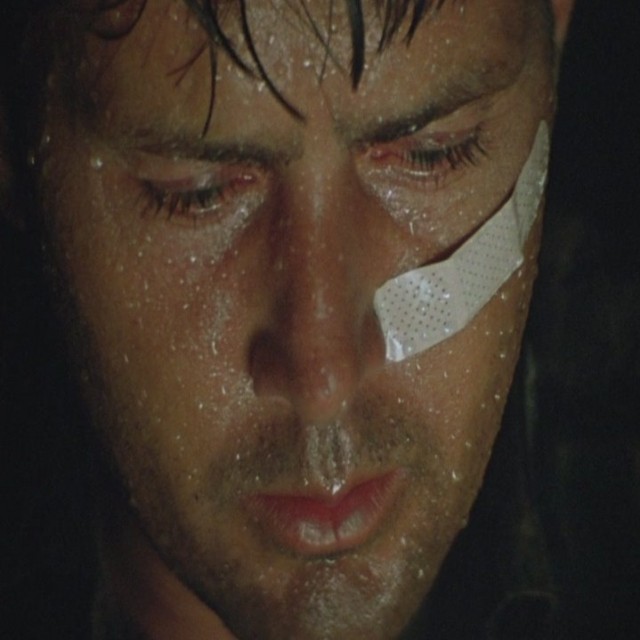 Martin Sheen fotoğrafı