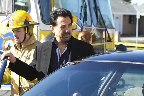 Joe Mantegna Fotoğrafı