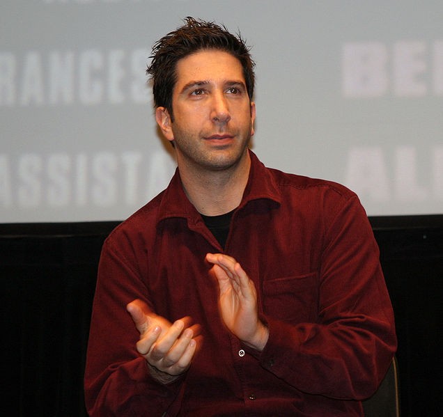 David Schwimmer Fotoğrafı