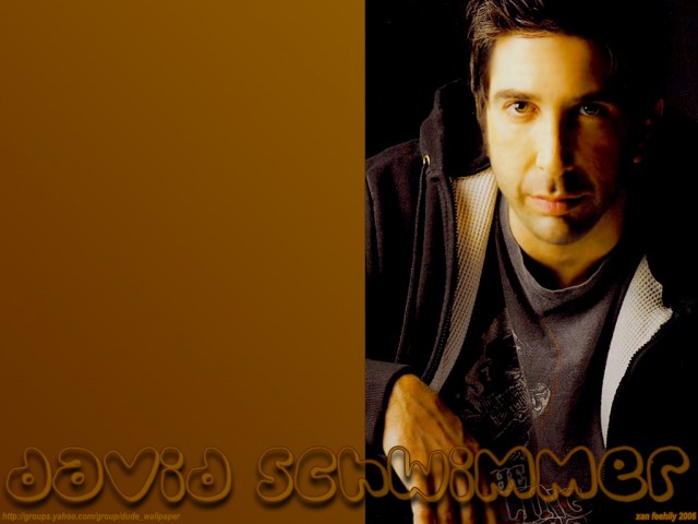 David Schwimmer Fotoğrafı
