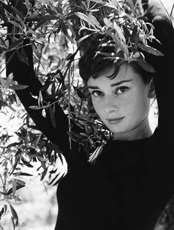 Audrey Hepburn Fotoğrafı