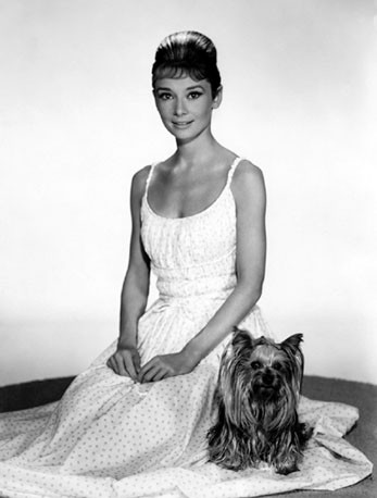 Audrey Hepburn Fotoğrafı