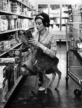 Audrey Hepburn Fotoğrafı