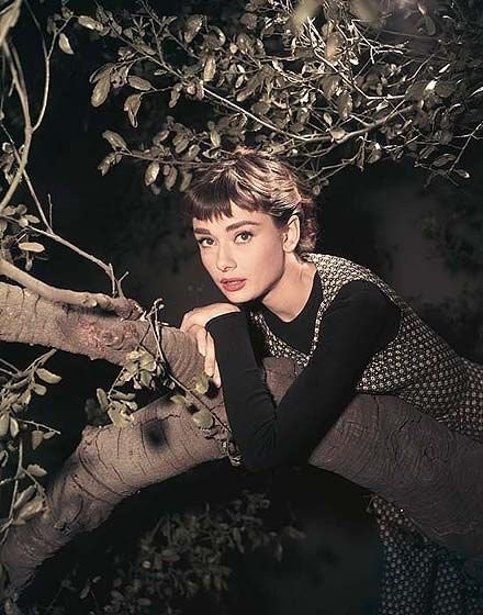 Audrey Hepburn Fotoğrafı