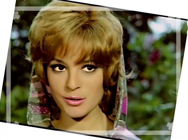 Hülya Koçyiğit fotoğrafı