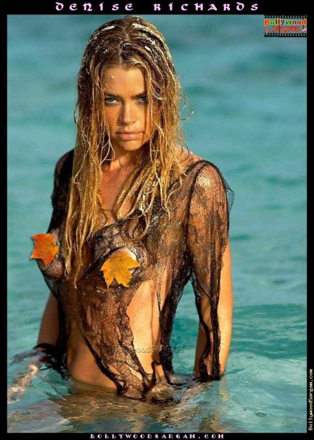 Denise Richards Fotoğrafı