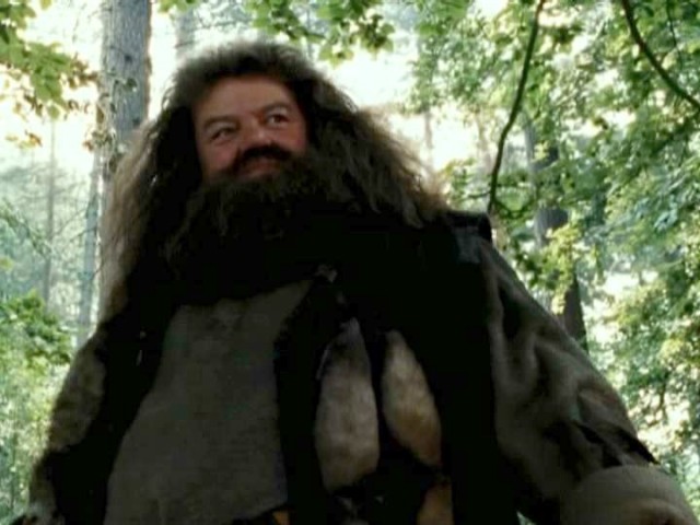 Robbie Coltrane Fotoğrafı
