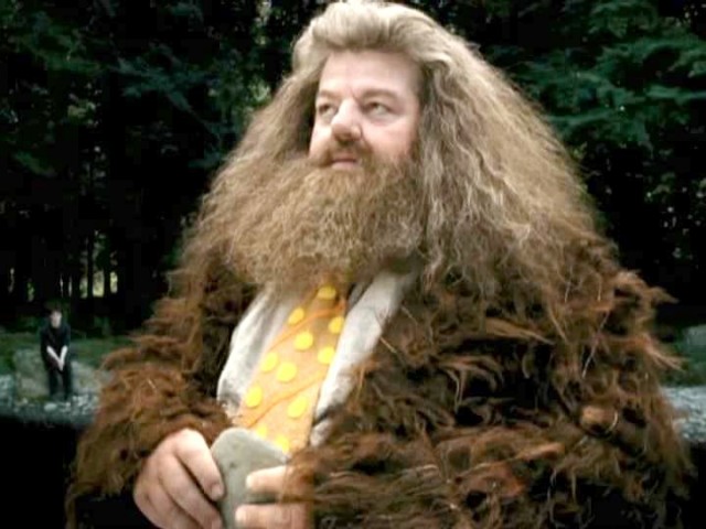 Robbie Coltrane Fotoğrafı