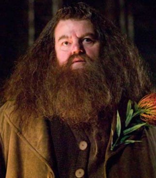 Robbie Coltrane Fotoğrafı