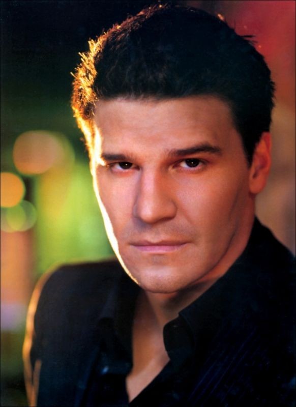 David Boreanaz Fotoğrafı