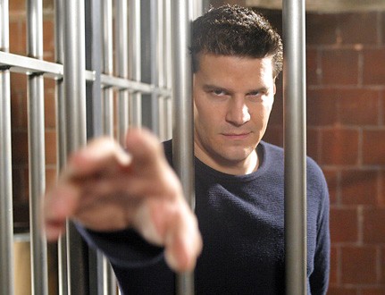 David Boreanaz Fotoğrafı