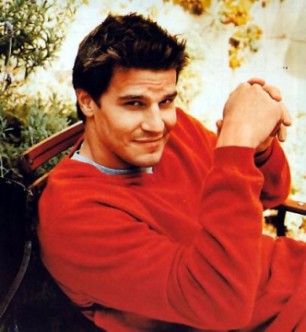 David Boreanaz fotoğrafı