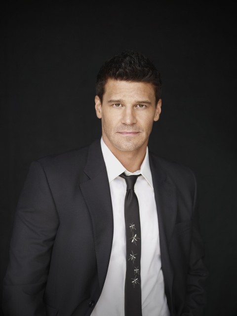 David Boreanaz fotoğrafı