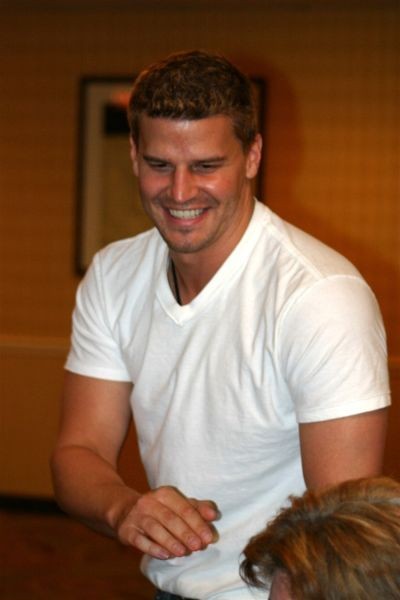 David Boreanaz Fotoğrafı