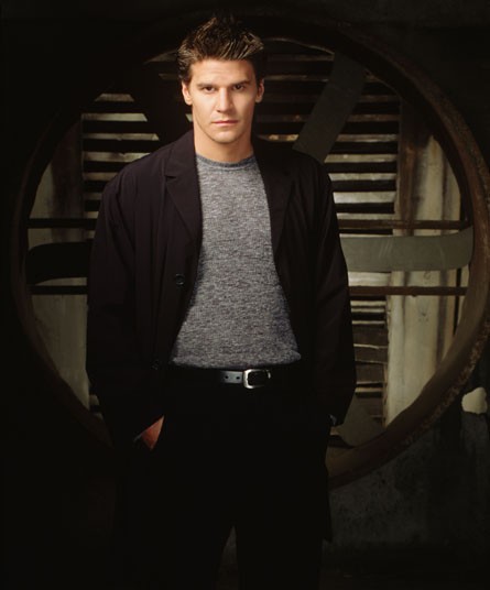 David Boreanaz Fotoğrafı