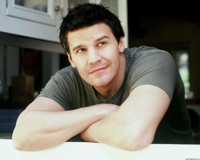 David Boreanaz Fotoğrafı