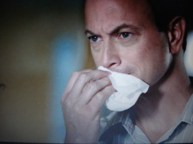 Gary Sinise fotoğrafı