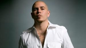 Pitbull fotoğrafı