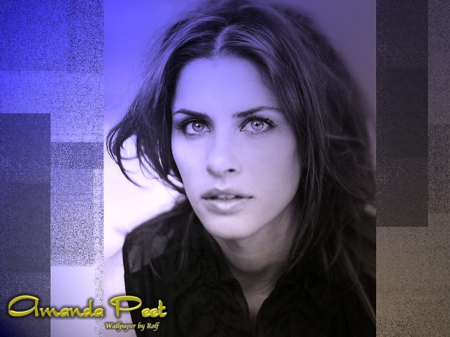 Amanda Peet Fotoğrafı