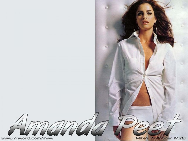 Amanda Peet Fotoğrafı