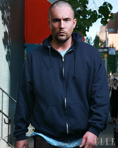 Desmond Harrington fotoğrafı