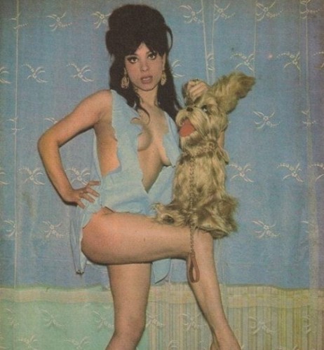 Seher Şeniz fotoğrafı