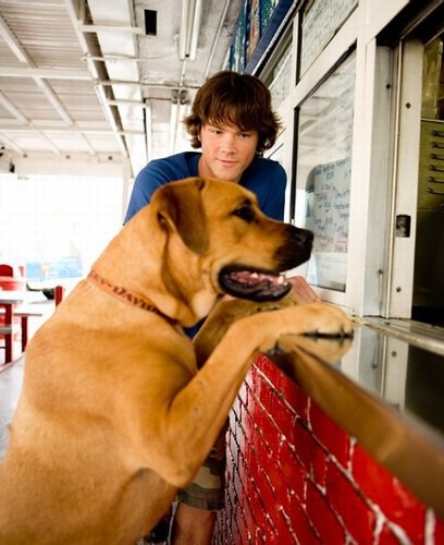 Jared Padalecki Fotoğrafı