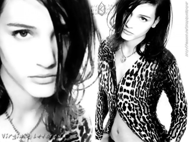 Virginie Ledoyen Fotoğrafı