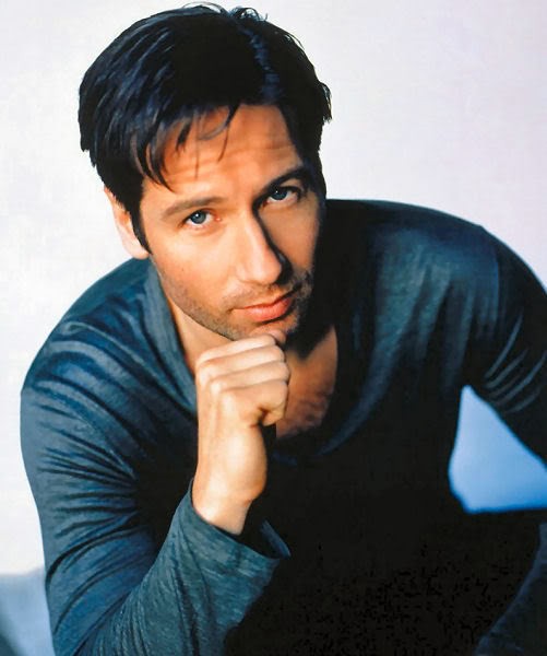 David Duchovny Fotoğrafı