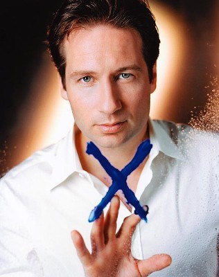 David Duchovny fotoğrafı